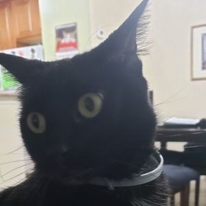 Meet your Posher, Tamara